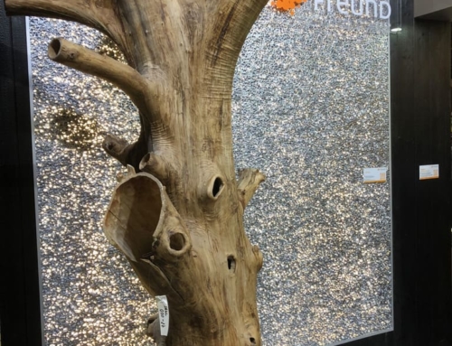 Da strahlt der Baum